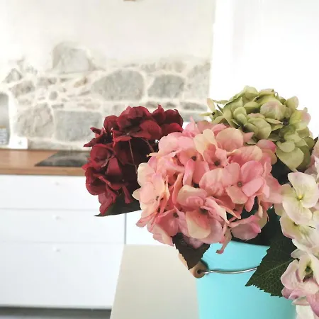 Affittacamere Maris 4*