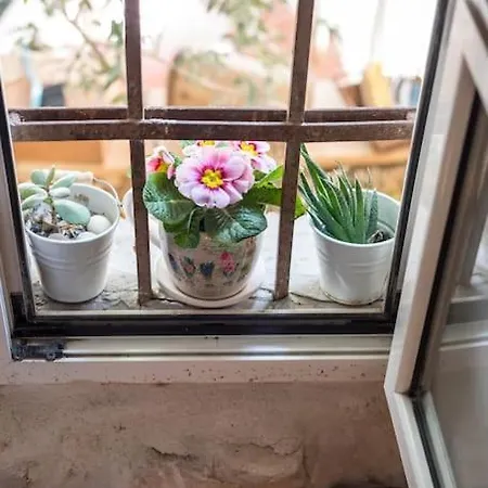 Maris Πανσιόν