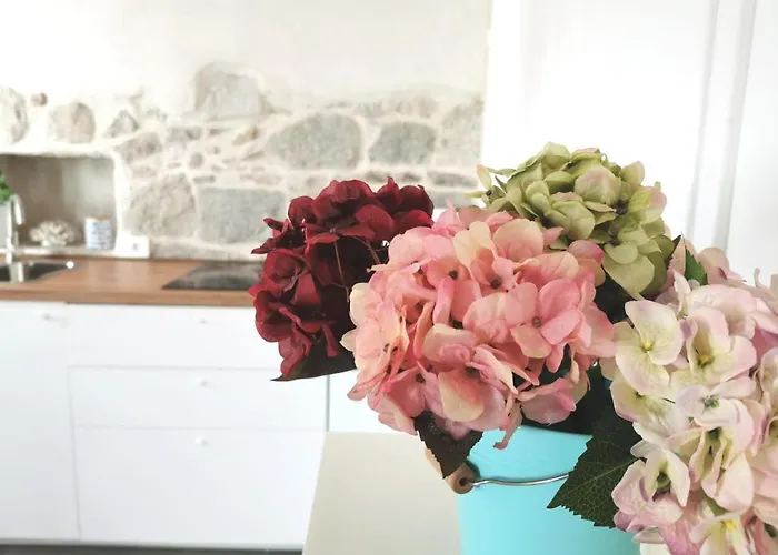 Guest house Guest House Maris 4*