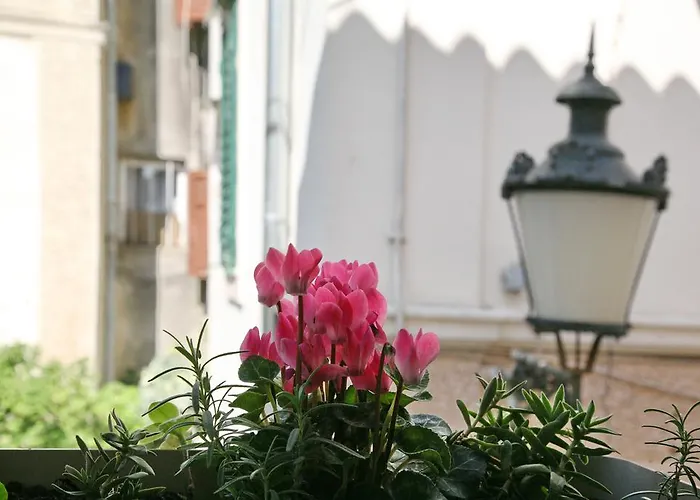 Guest House Maris 4*