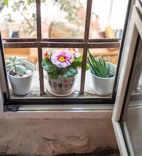 Guest House Maris Guest house